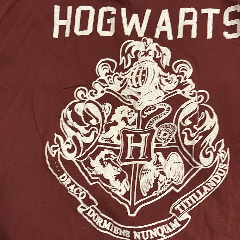 Harry Potter Hogwarts tee shirt - Picture 3 of 4